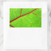 セントトーマス1 長方形シール (バッグ)