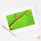 セントトーマス1 長方形シール (封筒)