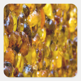 セントトーマス2 スクエアシール