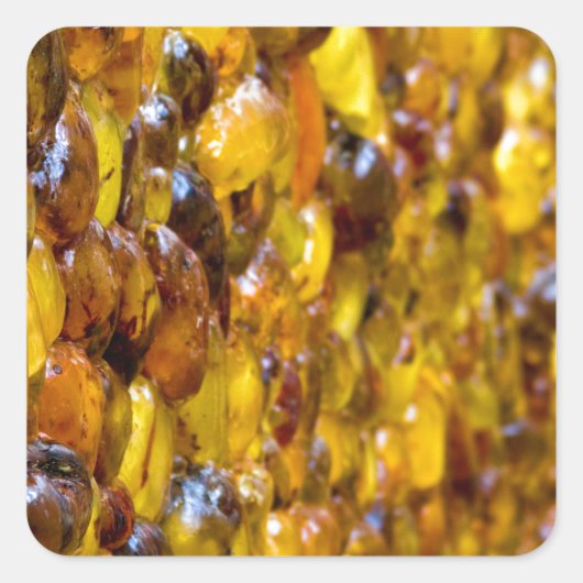 セントトーマス2 スクエアシール (正面)