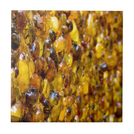 セントトーマス2 タイル (正面)