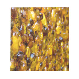 セントトーマス2 ノートパッド