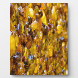 セントトーマス2 フォトプラーク