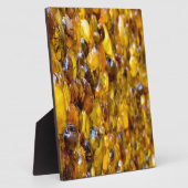 セントトーマス2 フォトプラーク (側面)