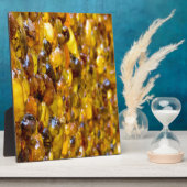 セントトーマス2 フォトプラーク (側面)