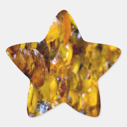 セントトーマス2 星シール (正面)