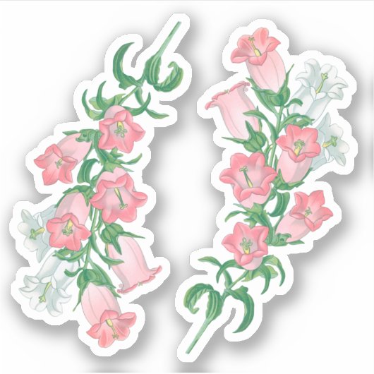 セントトーマス・ベケット(fL)のカンタベリーベル –  シール (正面)