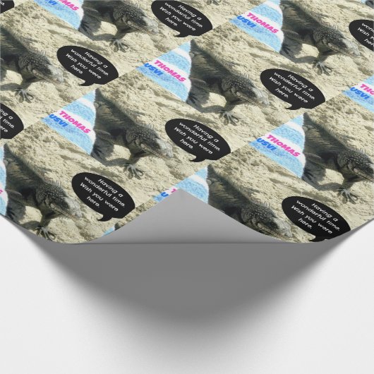 セントトーマスUSVI、イグアナビーチ ラッピングペーパー (角)