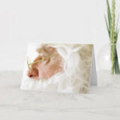 セントニコラスあいさつカード、はがき、シール シーズンカード (正面)