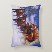 セントニックス表現 アクセントクッション (正面(垂直))