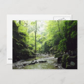 セントネクタングレンコーンウォール写真 ポストカード (正面/裏面)