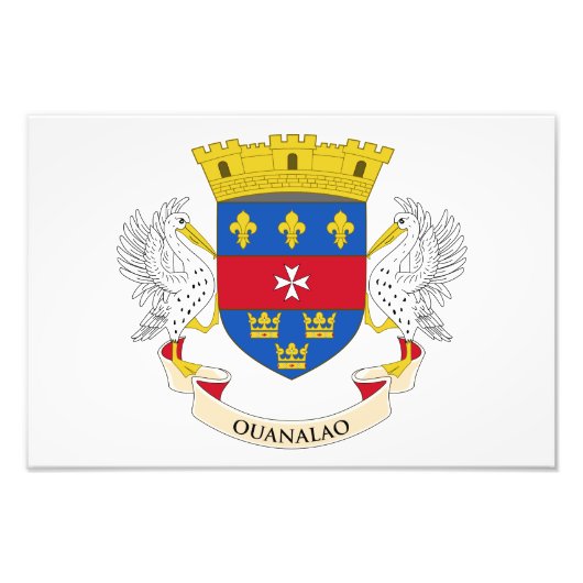 セントバルテルミー島の旗 フォトプリント            (正面)