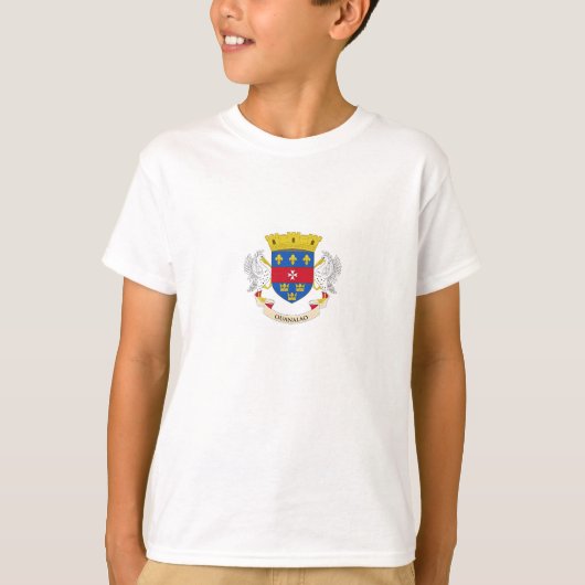 セントバルテルミー島の旗 Tシャツ (正面)