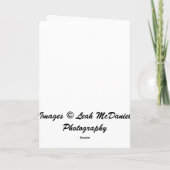 セントバーナードのクリスマスカード シーズンカード (裏面)