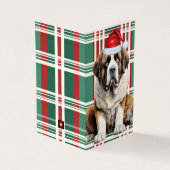セントバーナードの犬のホリデープレイドのクリスマス (外部)