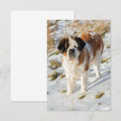 セントバーナードドッグポートレート サンキューカード (正面/裏面)