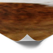 セントバーナード犬ポスト ポスター (角)