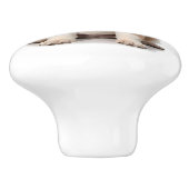 セントバーナード犬 セラミックノブ (側面)