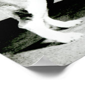 セントバーナード犬 ポスター (角)