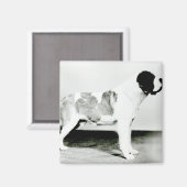 セントバーナード犬 マグネット (正面/裏面)