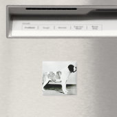 セントバーナード犬 マグネット (インサイチュ (食洗機))