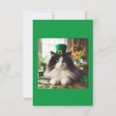 セントパティの昼猫 (正面)