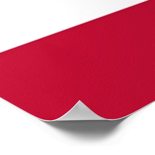 セントパトリックおもしろい州旗USAアイランドシャムロッククローバー ポスター (角)