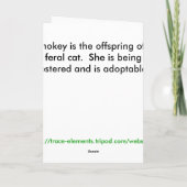 セントパトリックの日の子ネコカード カード (裏面)