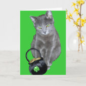 セントパトリックの日の子ネコカード カード (黄色い花)