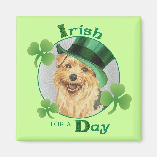 セントパトリックの日ノーフォークテリア マグネット (正面)