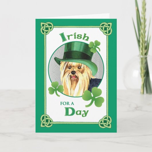 セントパトリックの日ヨークシャーテリア カード (正面)