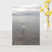 セントパトリックの日 カード (黄色い花)