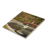 セントパトリックの日- Forsythの噴水、サバンナ、GA タイル (側面)