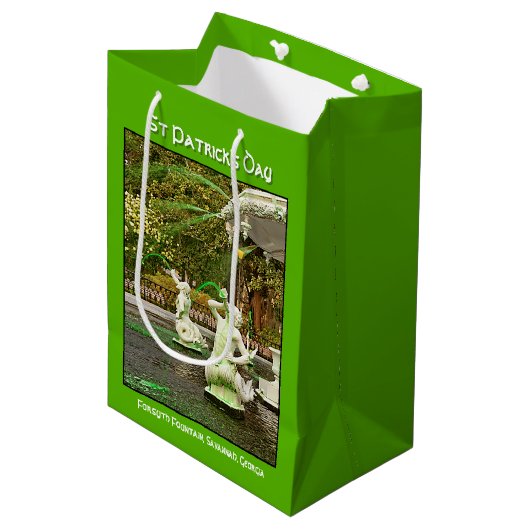 セントパトリックズデイグリーンフォーサイスファウンテン写真 ミディアムペーパーバッグ (正面アングル)