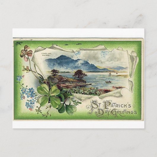 セントパトリックデー ポストカード (正面)
