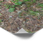 セントパルドゥックスフォンテーヌ ポスター (角)