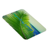 セントビンセントおよびグレナディーン マグネット (右側)