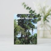 セントビンセント島 ポストカード (スタンド正面)