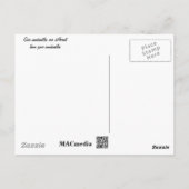 セントピートビーチ フロリダ ポストカード (裏面)