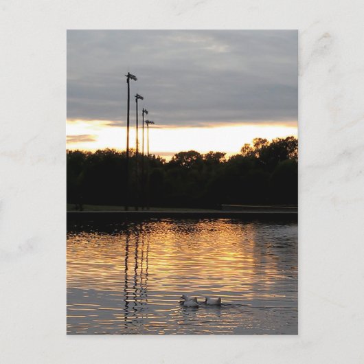 セントファーディナンド公園 ポストカード (正面)