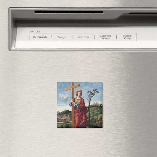 セントヘレナバイシマダコネリアーノ マグネット (インサイチュ (食洗機))