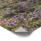 セントヘレンズ山の野生の花の写真 ポスター (角)