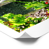 セントベルナデットファインアート写真 ポスター (角)