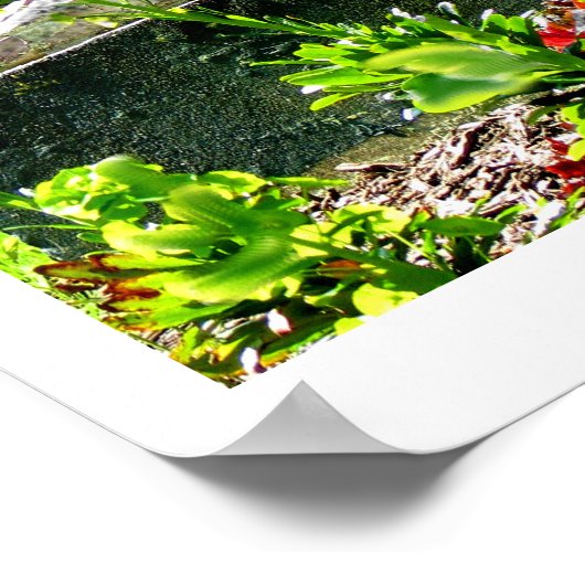 セントベルナデットファインアート写真 ポスター (角)