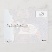 セントベロニカバイハンスメムリング ポストカード (裏面)