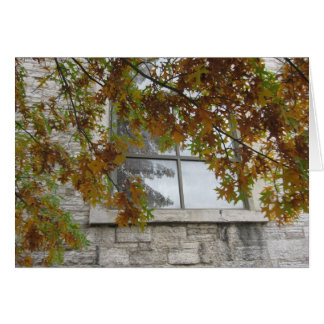 セントポールの秋のカシ