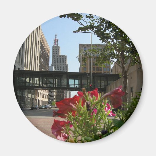 セントポール冷蔵庫磁石ミネソタ マグネット (正面)