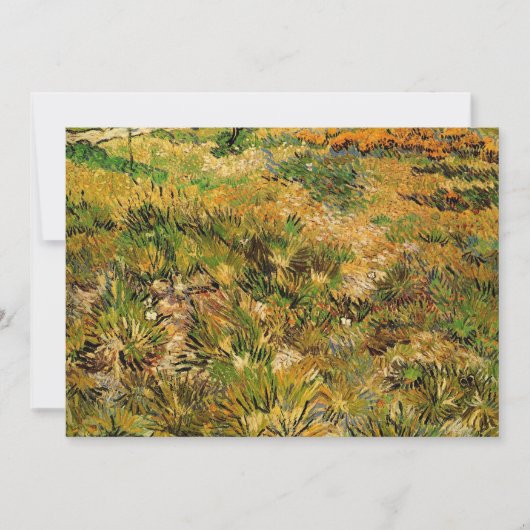 セントポール病院のメドーヴィンセント・ヴァン・ゴッホ (正面)