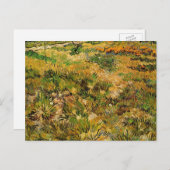 セントポール病院のメドーヴィンセント・ヴァン・ゴッホ ポストカード (正面/裏面)