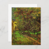 セントポール病院の庭園ビンセント・ヴァン・ゴッホ (正面/裏面)